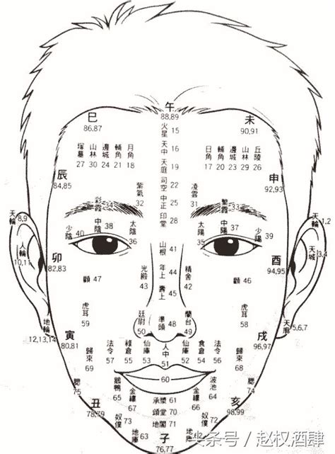 面相行運年齡|【面相年齡】一窺你的面相年齡：用九執流年法、面相學，瞭解你。